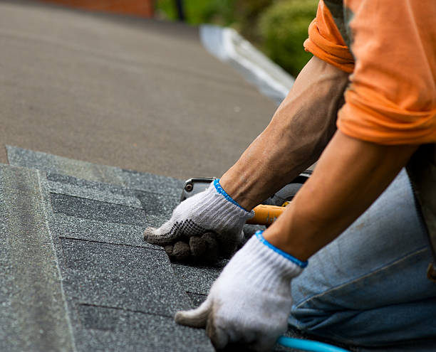 Best Roof Maintenance Services  in Lake Nacimiento, CA