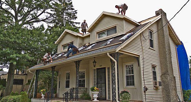 Best Roof Gutter Cleaning  in Lake Nacimiento, CA