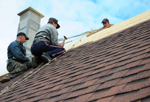Quick and Trustworthy Emergency Roof Repair Services in Lake Nacimiento, CA