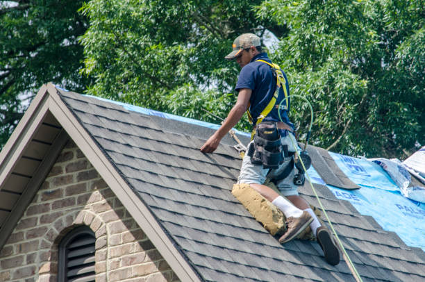 Best Roof Waterproofing Services  in Lake Nacimiento, CA